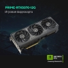 Вид 9